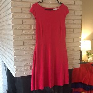 New York & Company boatneck cotton fit and flare